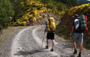 Польза походов для ментального здоровья
