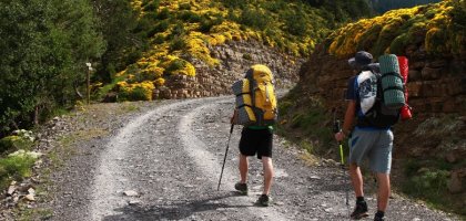 Польза походов для ментального здоровья