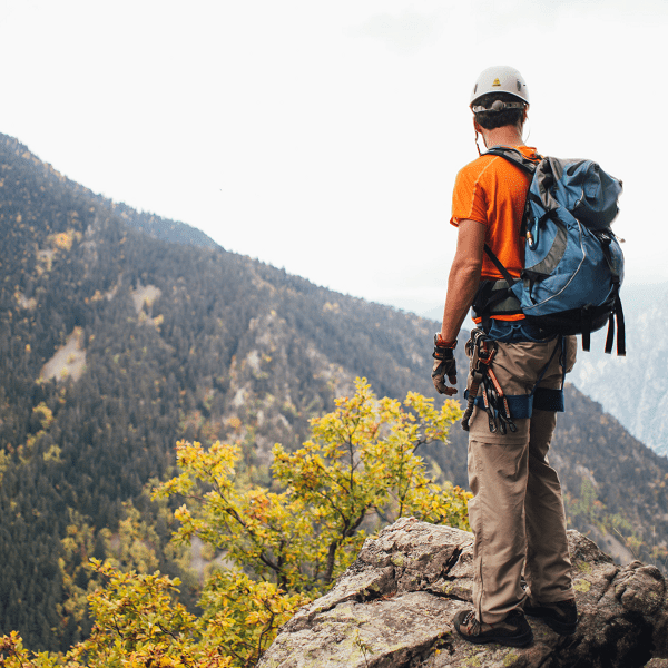 Новая жизнь