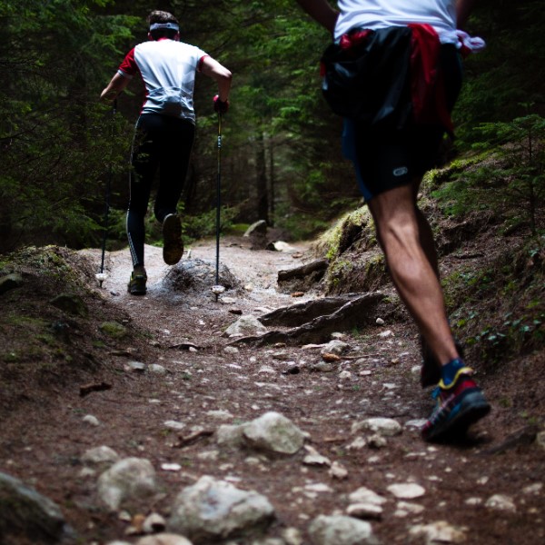 Польза походов