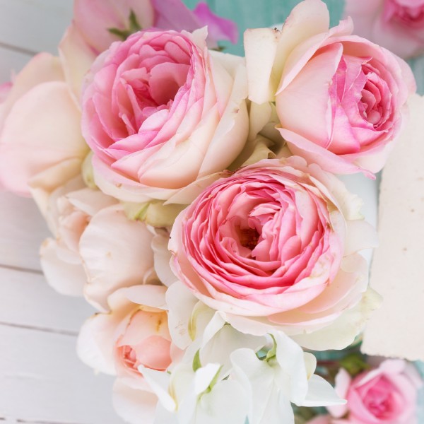 пионы девушке на первое свидание