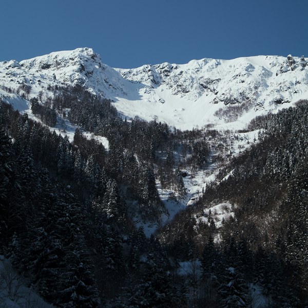 Стоит ли ехать в Турцию в январе?