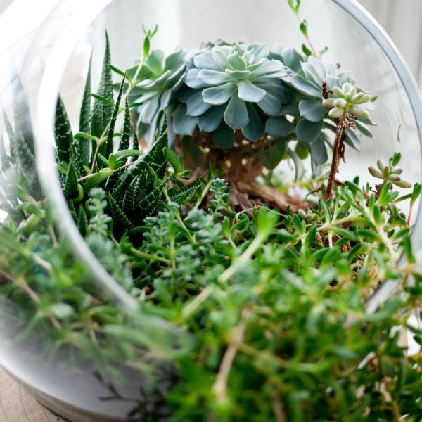 хобби для заработка