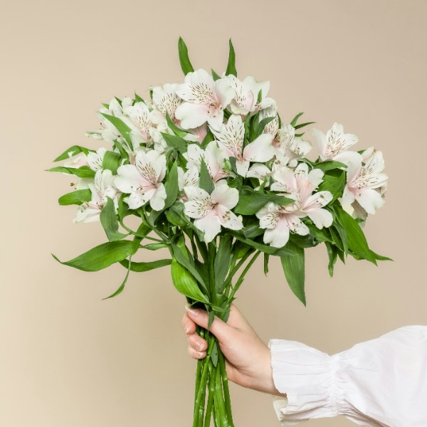 слова поздравления с днем рождения женщине