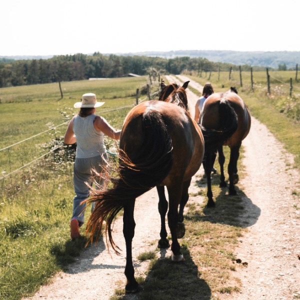 что означает дауншифтинг