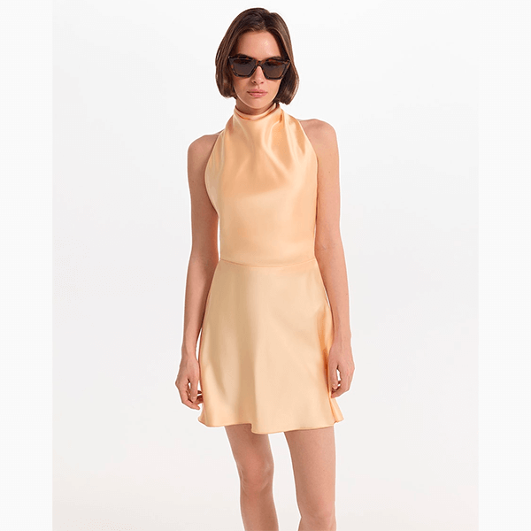 В чем встречать Новый год знакам зодиака