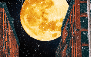 Лунный гороскоп на декабрь 2025 года