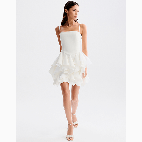 В чем встречать Новый год знакам зодиака