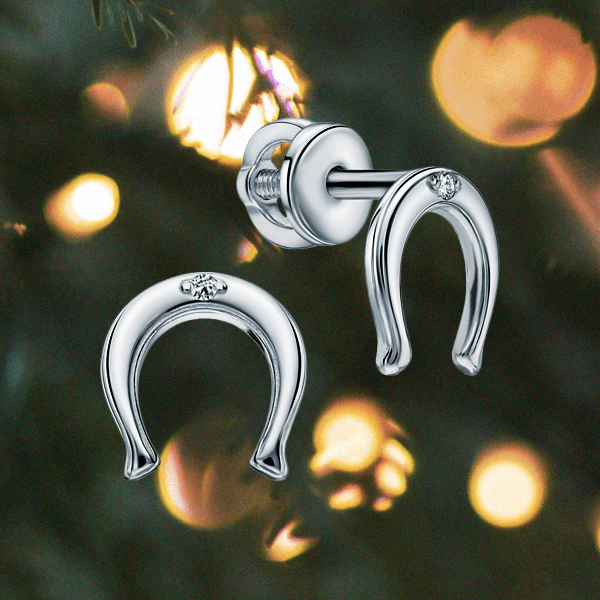 Классная идея для подарка на Новый год – 2026: украшения с символами процветания и изобилия