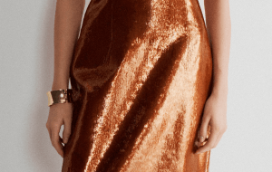 В чем встречать Новый год знакам зодиака