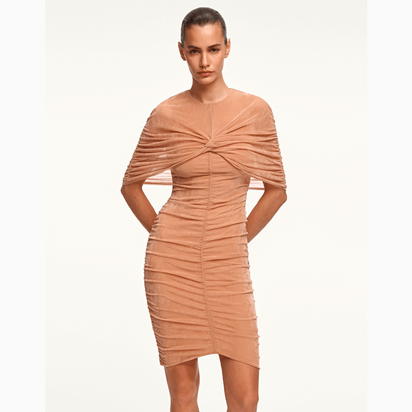 В чем встречать Новый год знакам зодиака