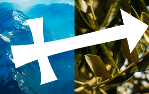 Влияние цвета на знаки зодиака: Стрелец