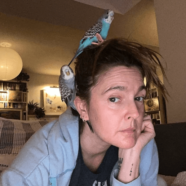 Дрю Бэрримор показала себя без макияжа