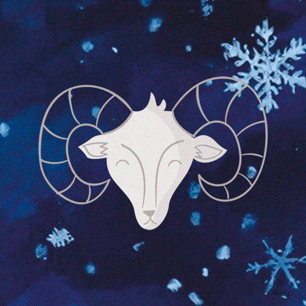 Что ждет нас в 2026 году? Гороскоп от профессионального астролога