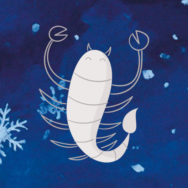 Что ждет нас в 2026 году? Гороскоп от профессионального астролога