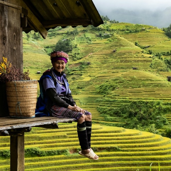 север вьетнама рисовые поля