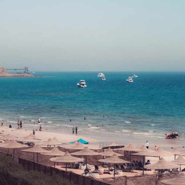 египет в апреле