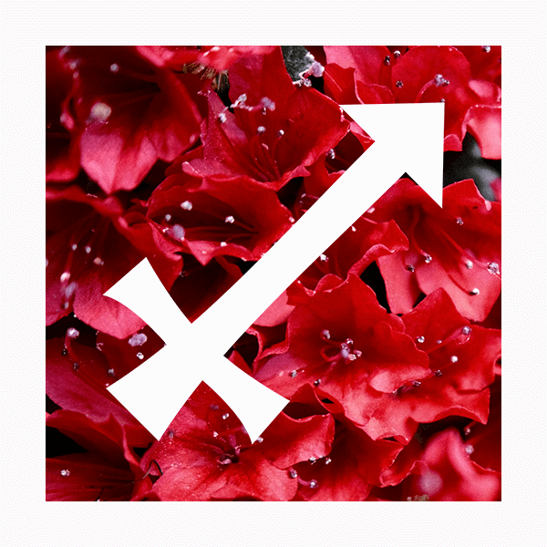 Влияние цвета на знаки зодиака: Стрелец