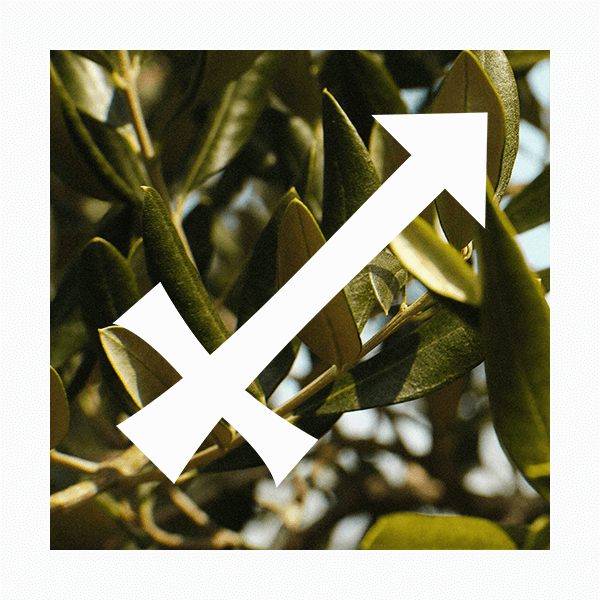 Влияние цвета на знаки зодиака: Стрелец