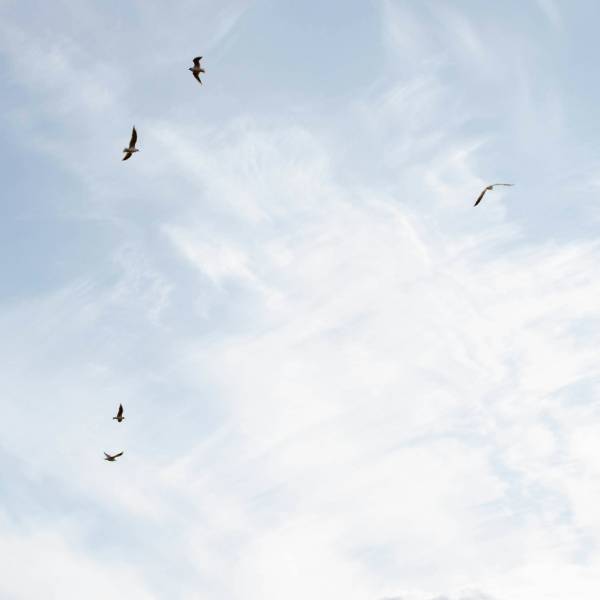 что делают на 40 дней после смерти