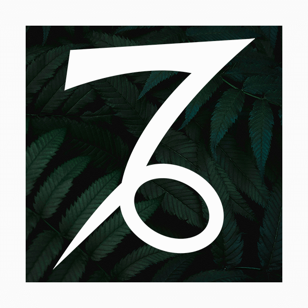 Влияние цвета на знаки зодиака: Козерог