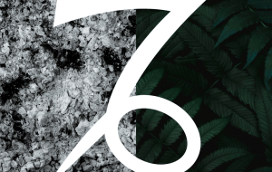 Влияние цвета на знаки зодиака: Козерог