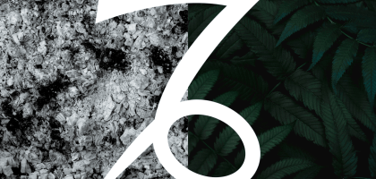 Влияние цвета на знаки зодиака: Козерог