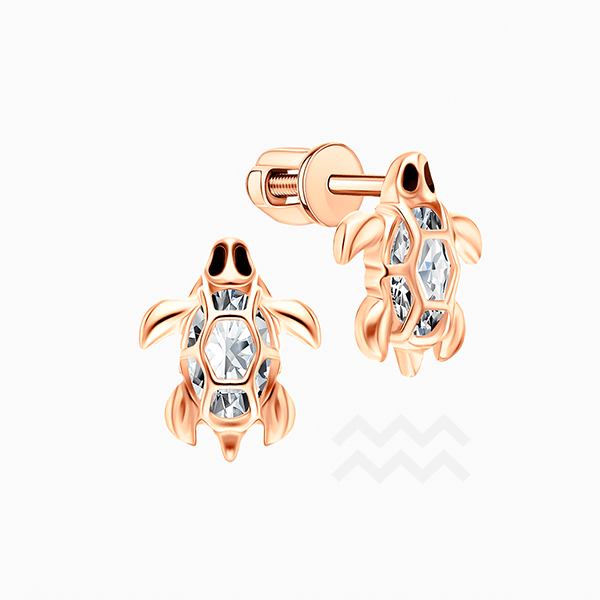 Что дарить Водолеям, которые родились с 21 января по 19 февраля?