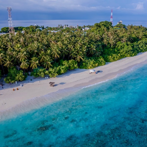 Мальдивы февраль