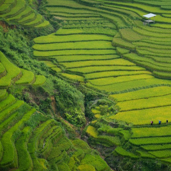 Стоит ли ехать во Вьетнам в апреле?