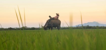 Стоит ли ехать во Вьетнам в апреле?