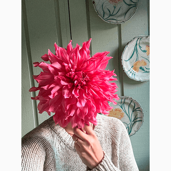 7 главных трендов в сферах красоты и здоровья, которые ждут нас в 2026 году