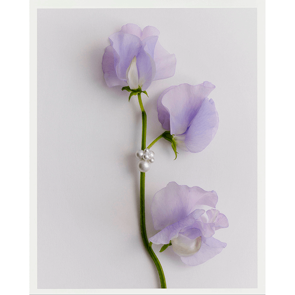 Украшения с миниатюрными жемчужинами – это самое изящное, что вы увидите сегодня