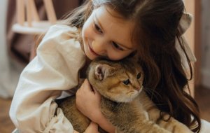 Как проявляется аллергия на кошек у детей