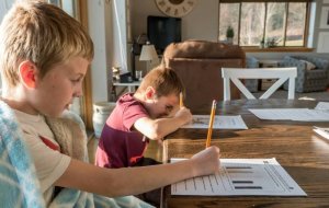 Школа или домашнее обучение: основные особенности и отличия, плюсы и минусы