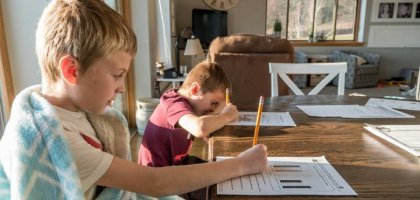 Школа или домашнее обучение: основные особенности и отличия, плюсы и минусы