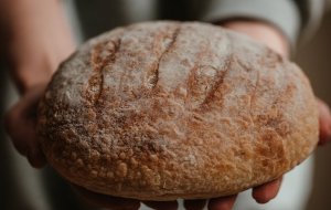 Хлеб с плесенью: можно ли его есть