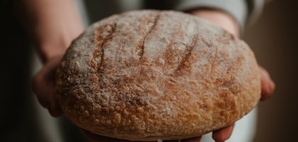 Хлеб с плесенью: можно ли его есть