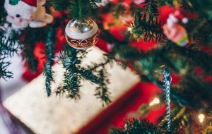 Что делать с елкой после Нового года: уход и хранение