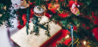 Что делать с елкой после Нового года: уход и хранение