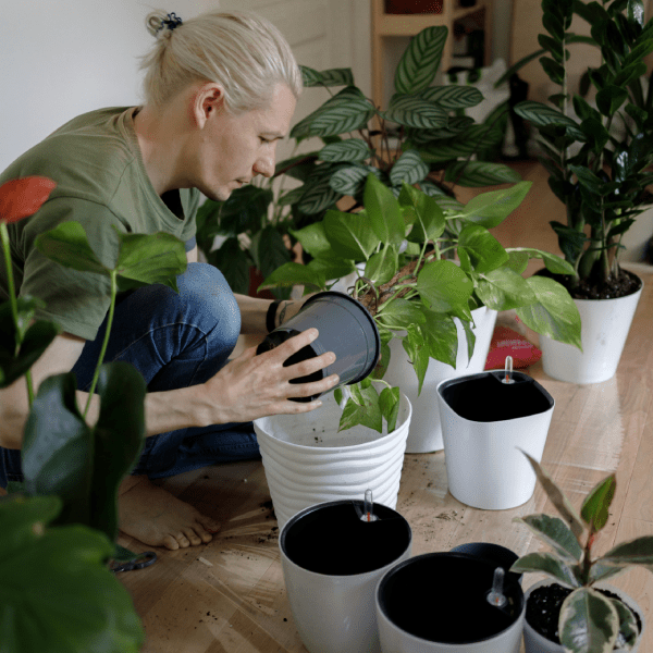 Как отличить хобби от перспективного дела для заработка