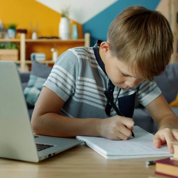 что нужно для домашнего обучения