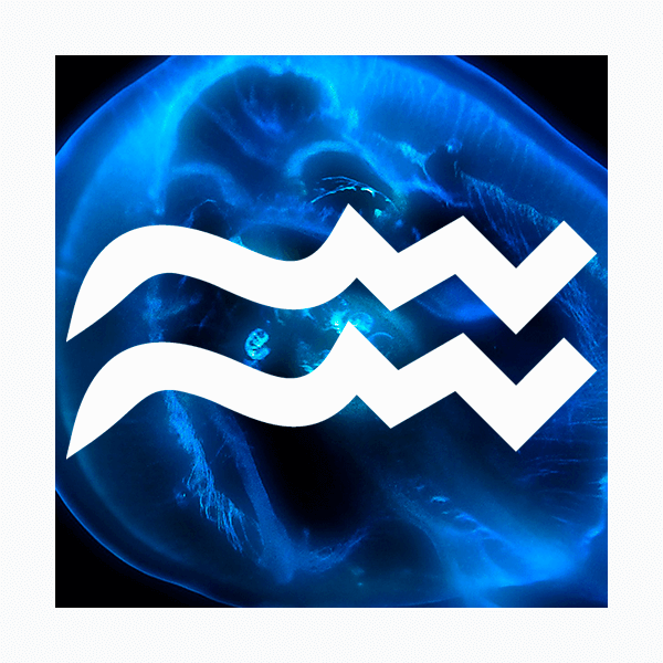 Влияние цвета на знаки зодиака: Водолей