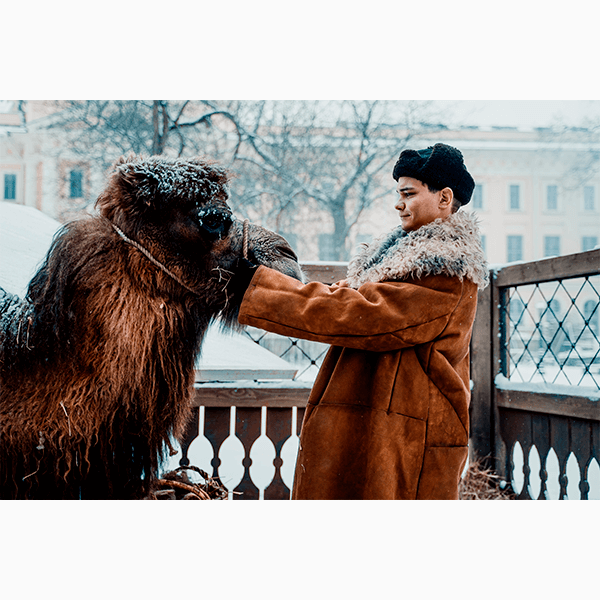 Что смотреть в кино на этой неделе: «Король и Шут. Навсегда», «Молчаливый друг», «Красавица»