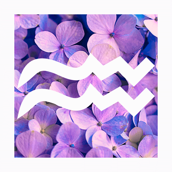 Влияние цвета на знаки зодиака: Водолей