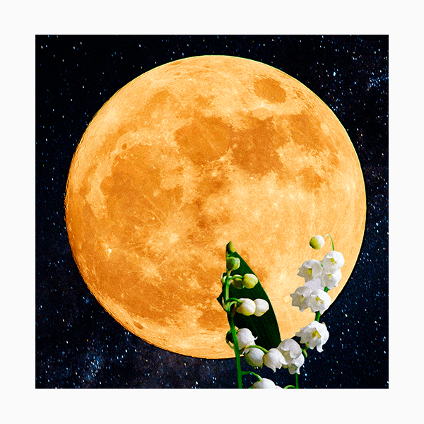 Лунный гороскоп на март 2026 года