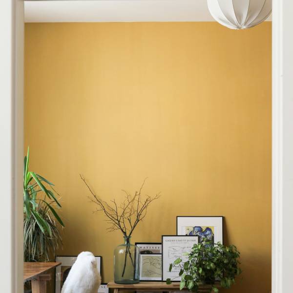 Как визуально сделать низкий потолок выше с помощью отделки