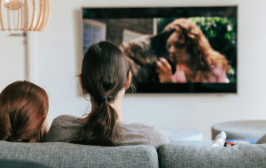 Смотреть сериалы запоем (бинджвотчинг) — вредно или нет?