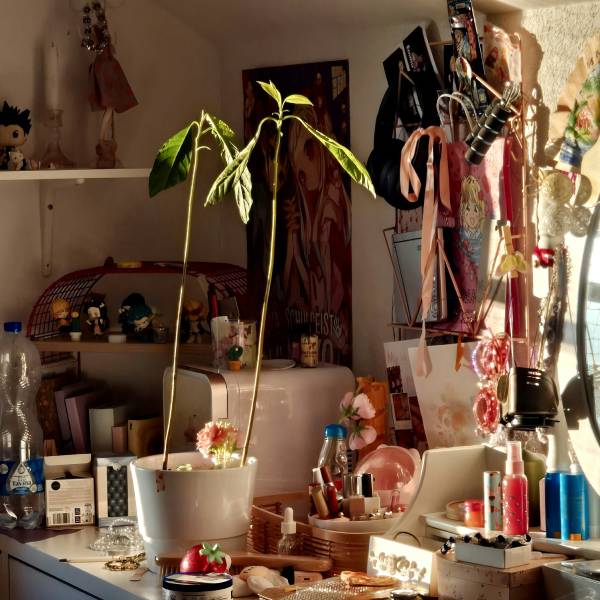 как навести порядок в вещах дома