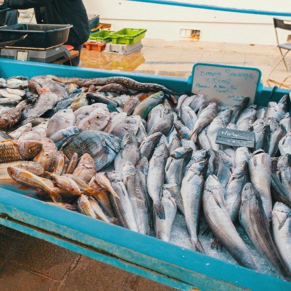 как выбрать форель с икрой